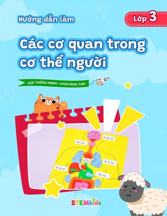 Các cơ quan trong cơ thể người
