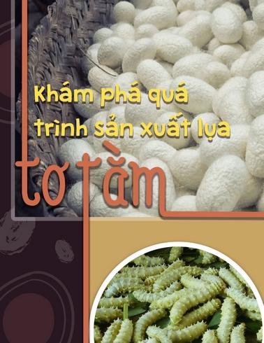Khám phá quy trình sản xuất lụa tơ tằm