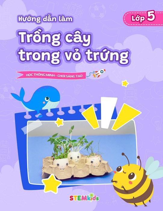 Trồng cây trong vỏ trứng